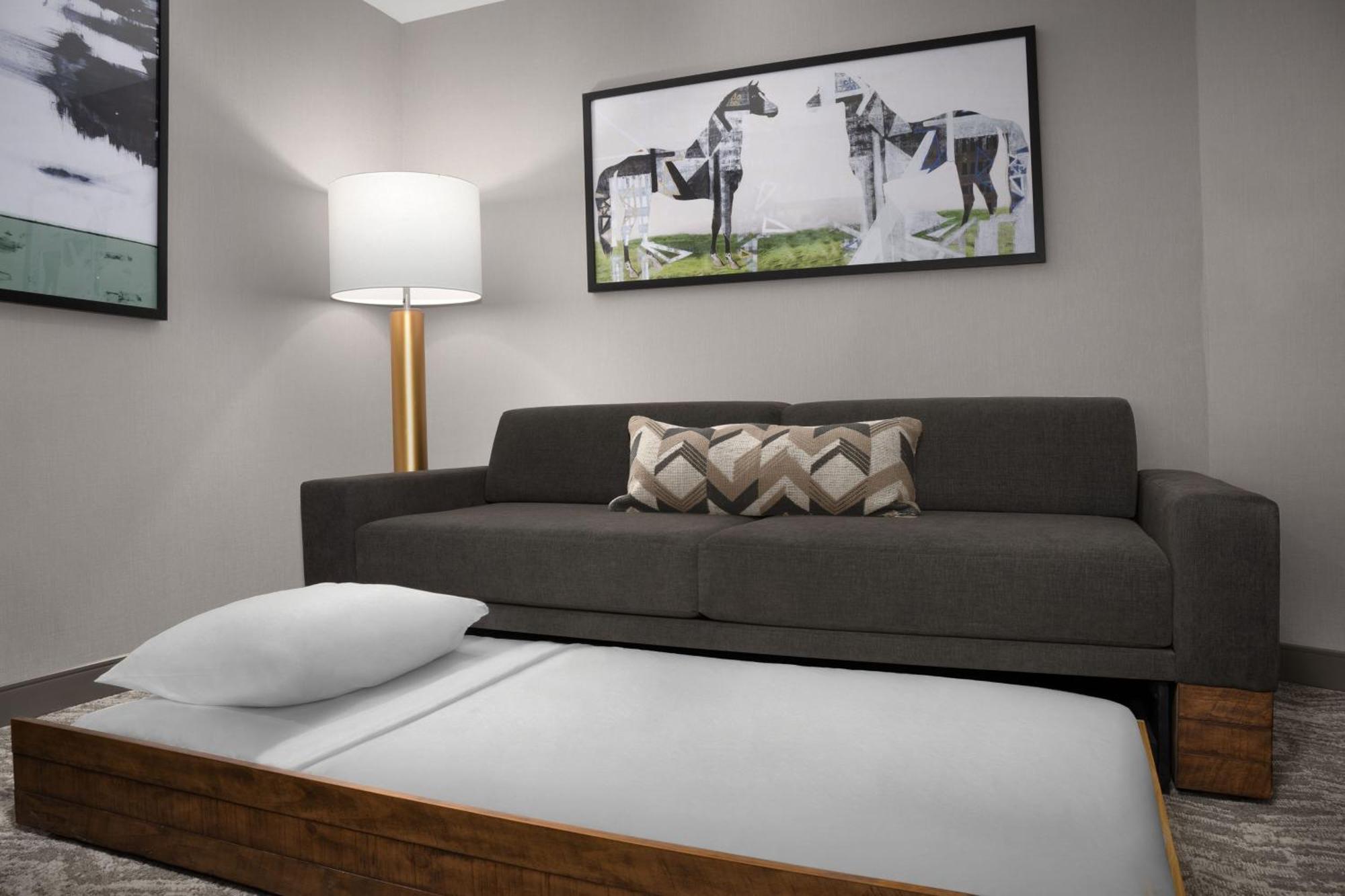 Springhill Suites By Marriott Lexington Fritz Farm Екстер'єр фото